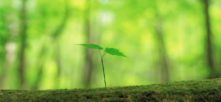 eco ideas